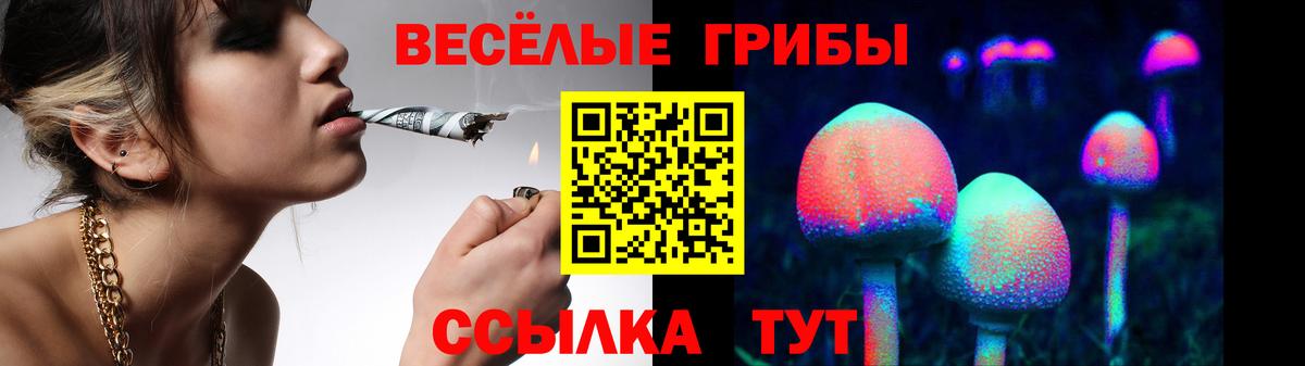 купить  цена  Галлюциногенные грибы GOLDEN TEACHER  Вход с VPN  Галлюциногенные грибы Cubensis  Иваново 